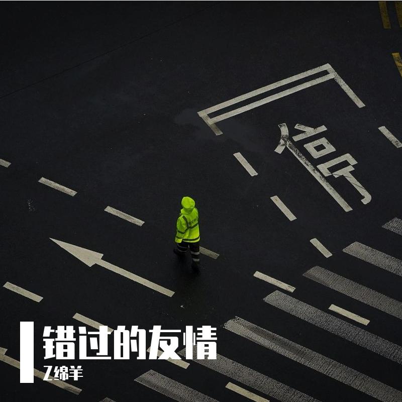 错过的友情封面