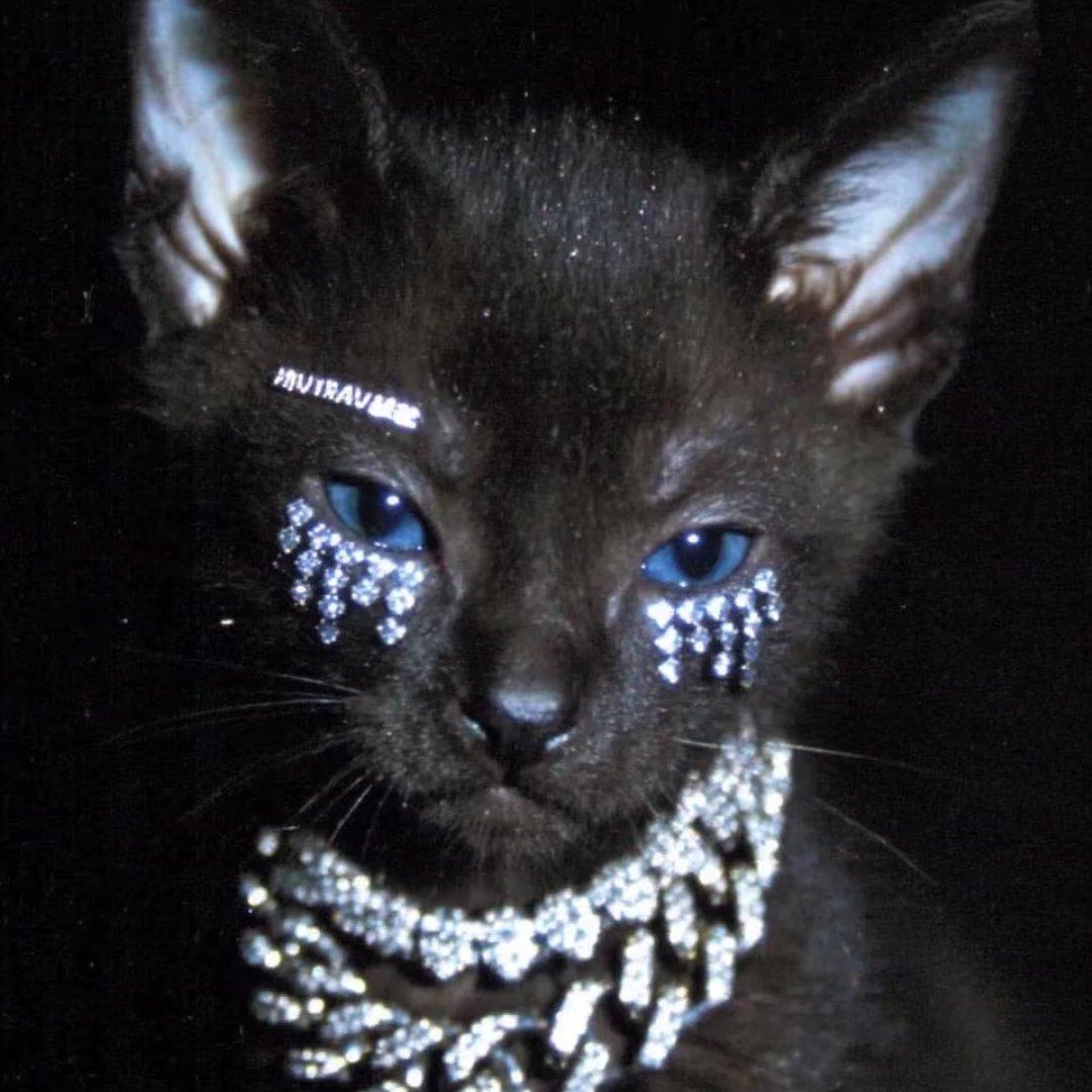 不听点说唱感觉身上痒痒的