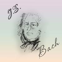 J. S. Bach: Organ Sonata No. 3 (Arr. for Violin and Obbligato Harpsichord)