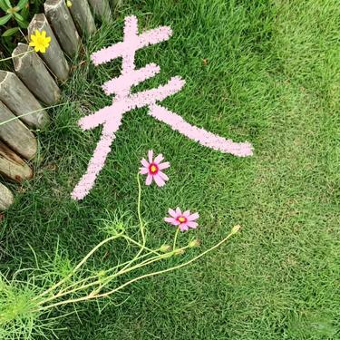 红马 (Cover 一颗狼星)封面
