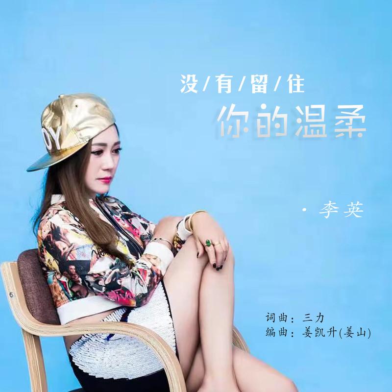 没有留住你的温柔(DJ版)封面