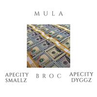 Mula (feat. Apecity Dyggz & Broc)