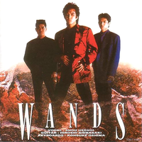 WANDS