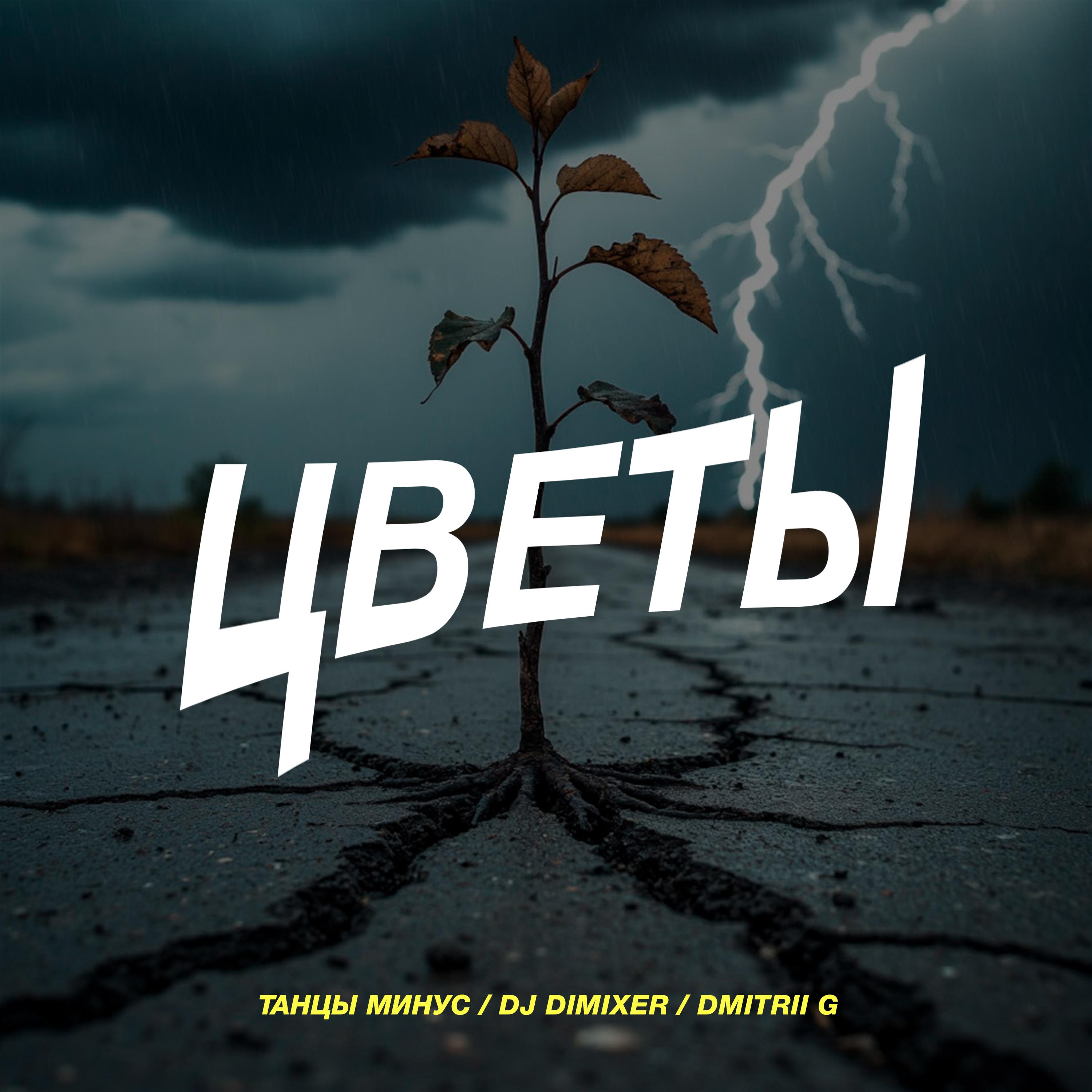 Цветы (Remix)