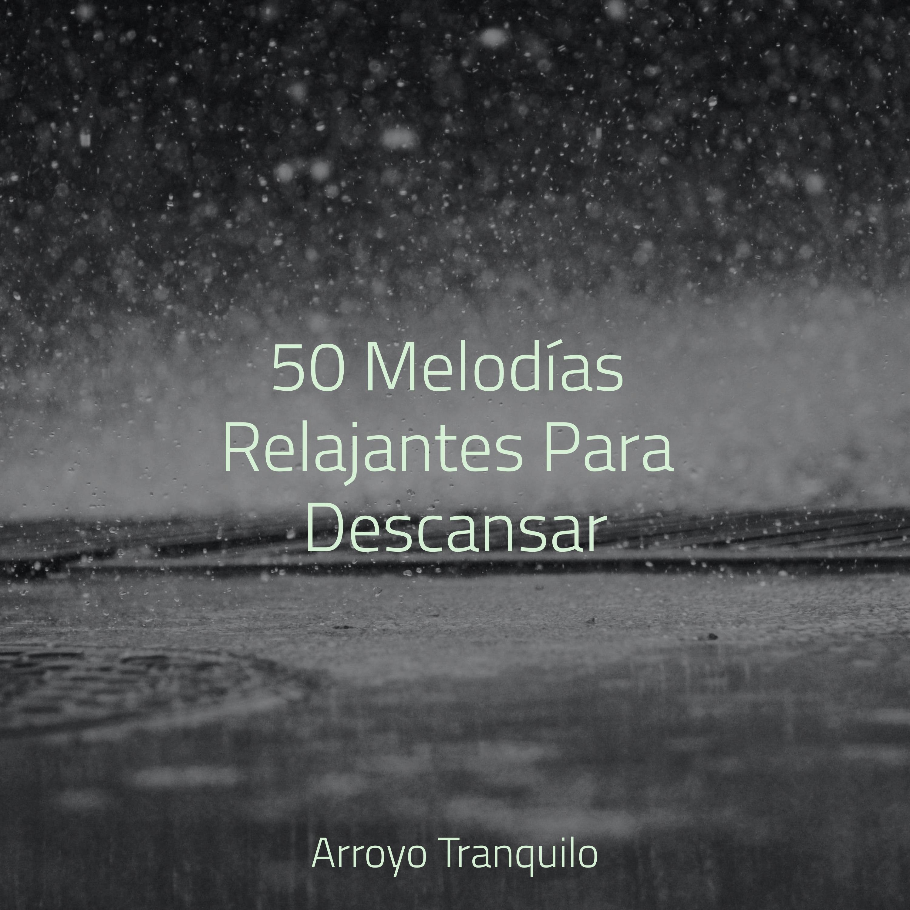 Ondas Trascendentes_Sonidos de la Naturaleza Relax_50 Melodías Relajantes Para Descansar | 在线播放_Ondas Trascendentes歌词_Ondas Trascendentes下载 | 网易云音乐