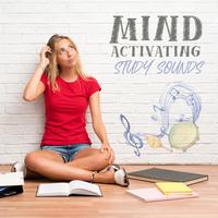 Mind Activating Study Sounds