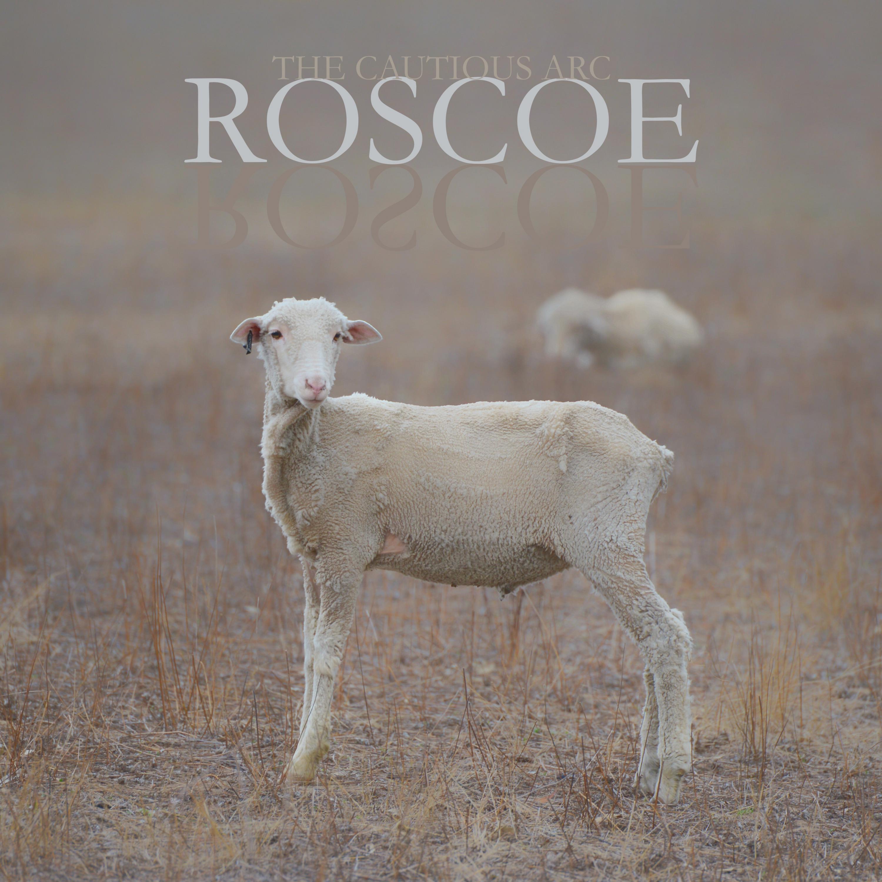 Roscoe (Field Mix)