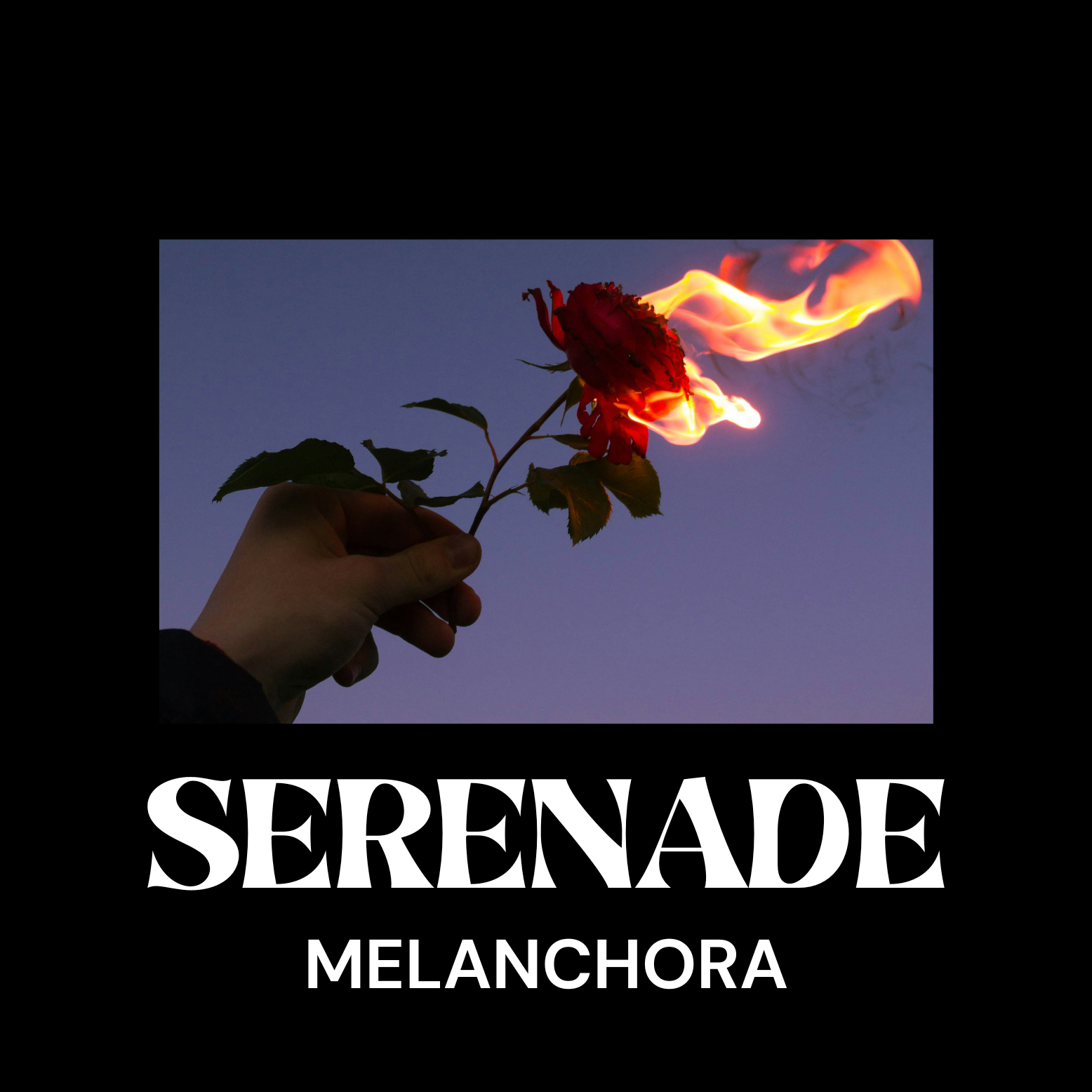 Serenade