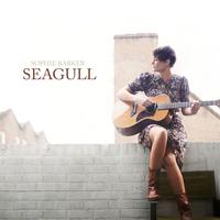 Seagull