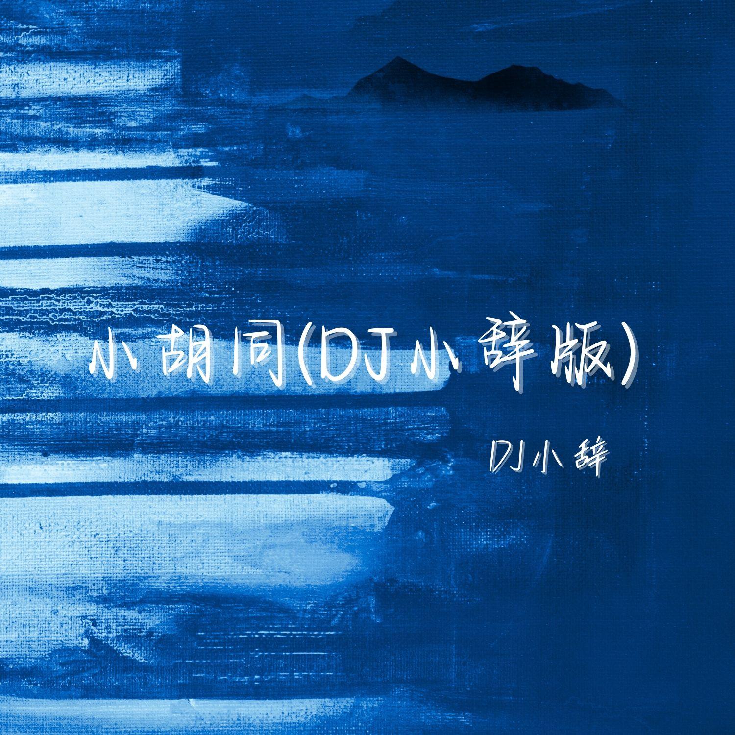 小胡同（DJ小辞版）