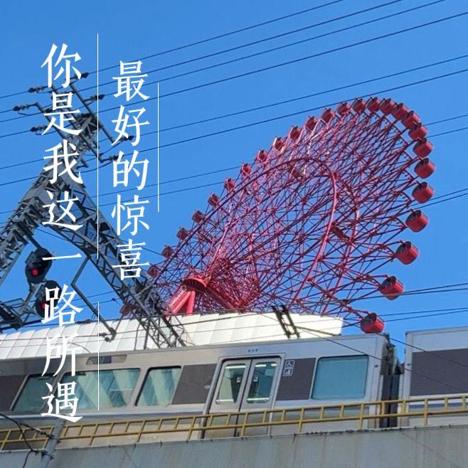 你是我这一路所遇最好的惊喜封面