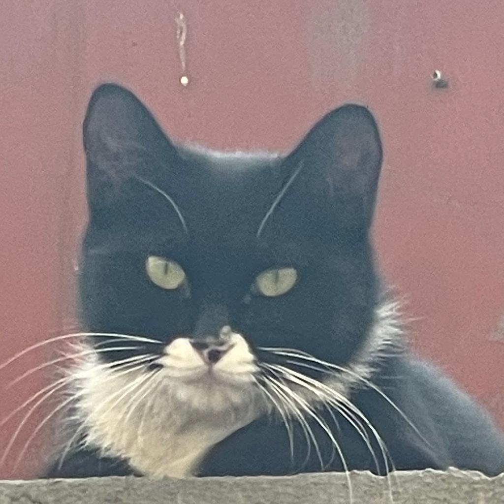 Whle’s best bedtime music.