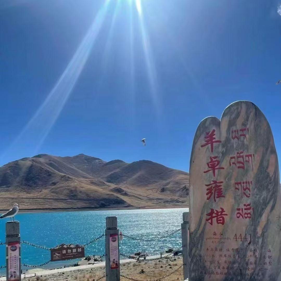无畏的冒险 - 七七呀封面
