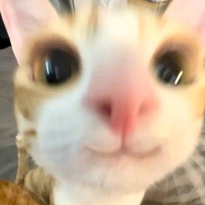 外网都特么杀疯了怎么国内没动静啊