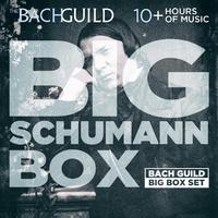 Big Schumann Box