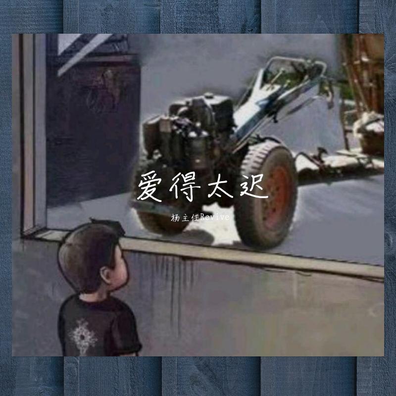 爱得太迟封面