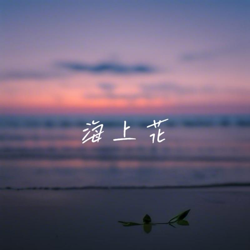 海上花封面