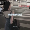 故事已经结束了 (DJ阿智版)封面