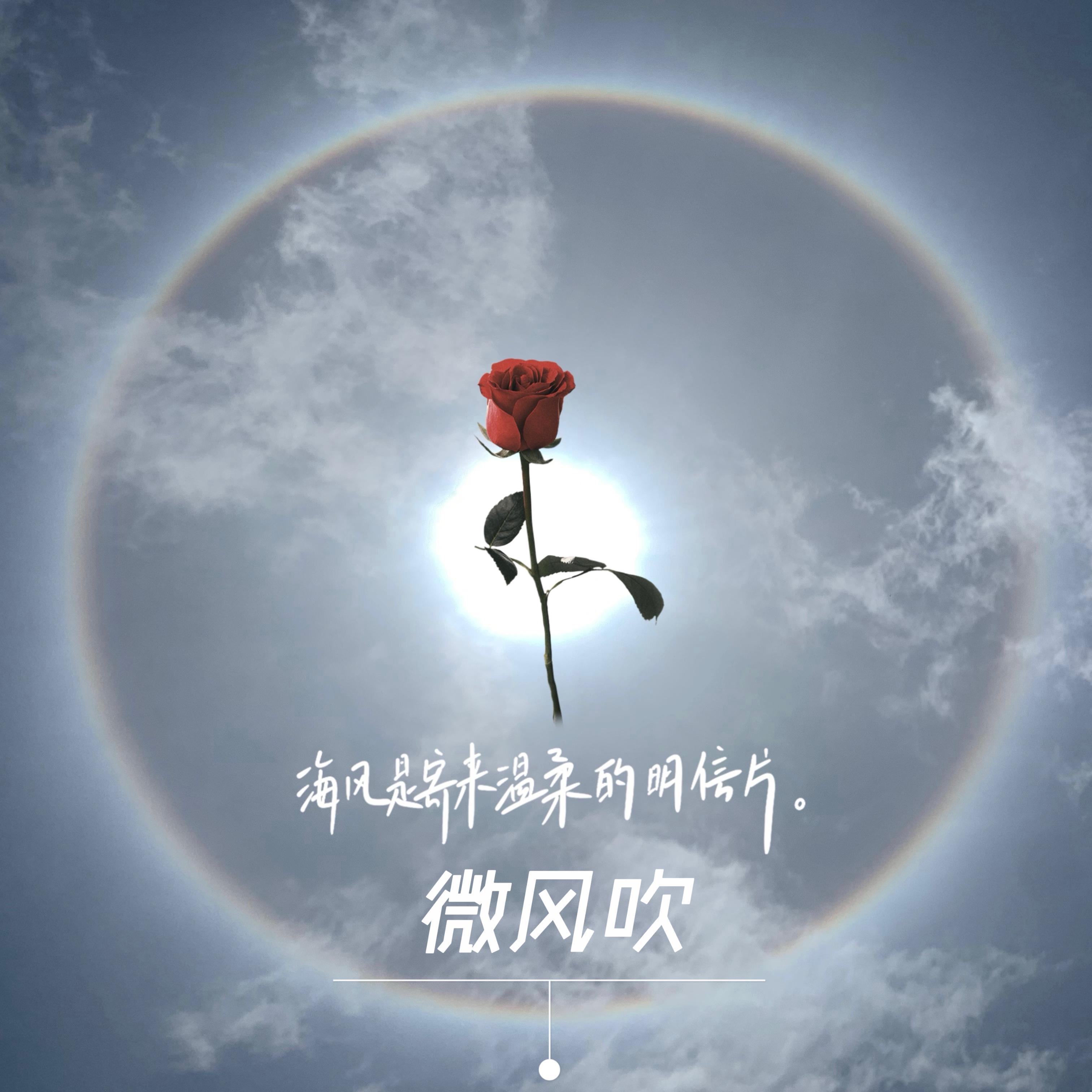 微风吹封面