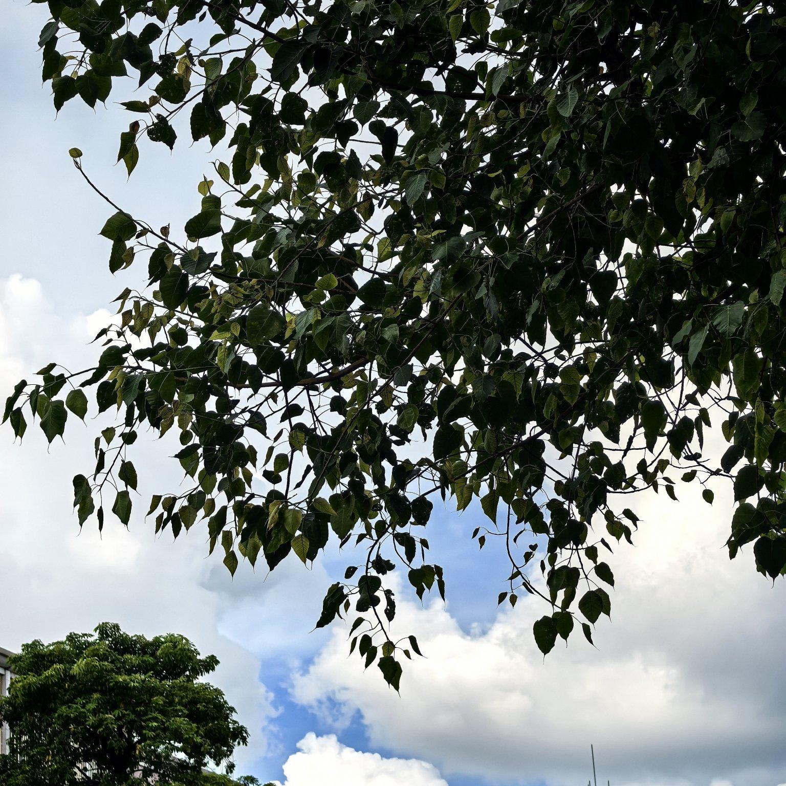 用尽我的一切奔向你