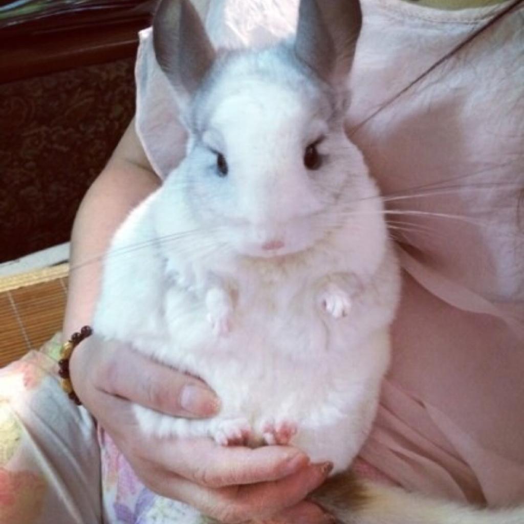 神翻唱-- make it different