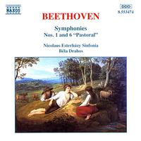 BEETHOVEN, L. van: Symphonies Nos. 1 and 6 (Nicolaus Esterhazy Sinfonia, Drahos)