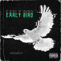 Early Bird