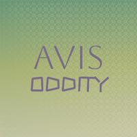 Avis Oddity