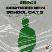 CERTIFIED NEW SCHOOL CAT 3