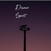 Discover Spirit