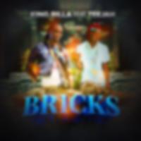 Bricks