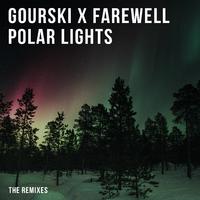 Polar Lights (The Remixes)