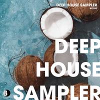 Deep House Sampler