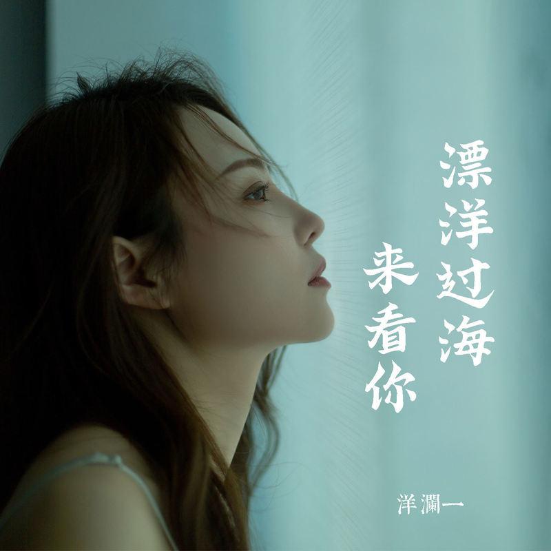 漂洋过海来看你 海报