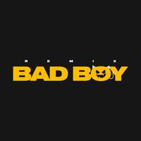 BAD BOY (feat. Juhn, Jairo Vera, Dani Flow & Montana the Producer) [Remix]