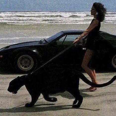 电子车载音乐经常听