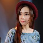 中文歌单爆款