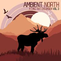 Ambient North - A Chill Out Excursion, Vol. 3