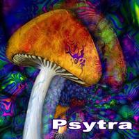 Psytra (Intellect Progressive Psychedelic Goa Psy Trance)