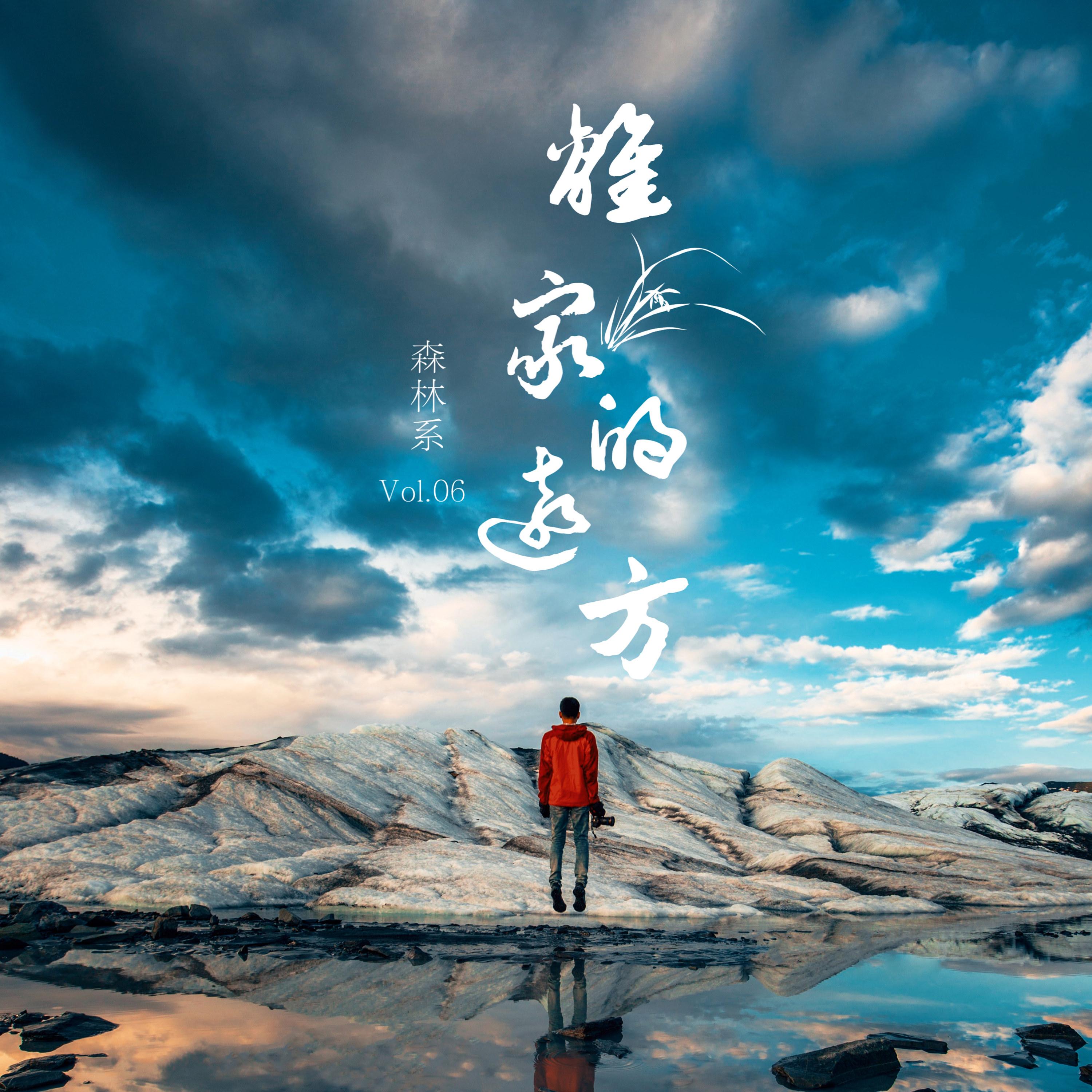 离家的远方封面