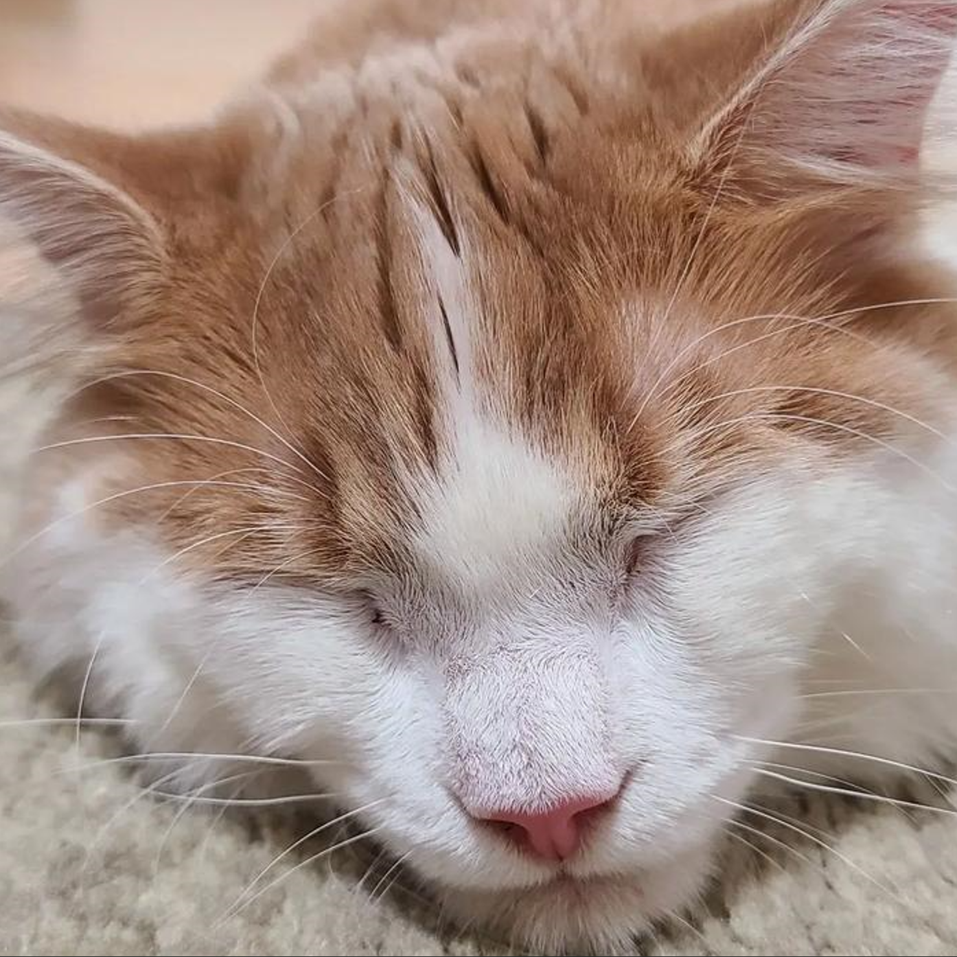 钱从四面八方来