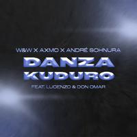 Danza Kuduro (Remix)