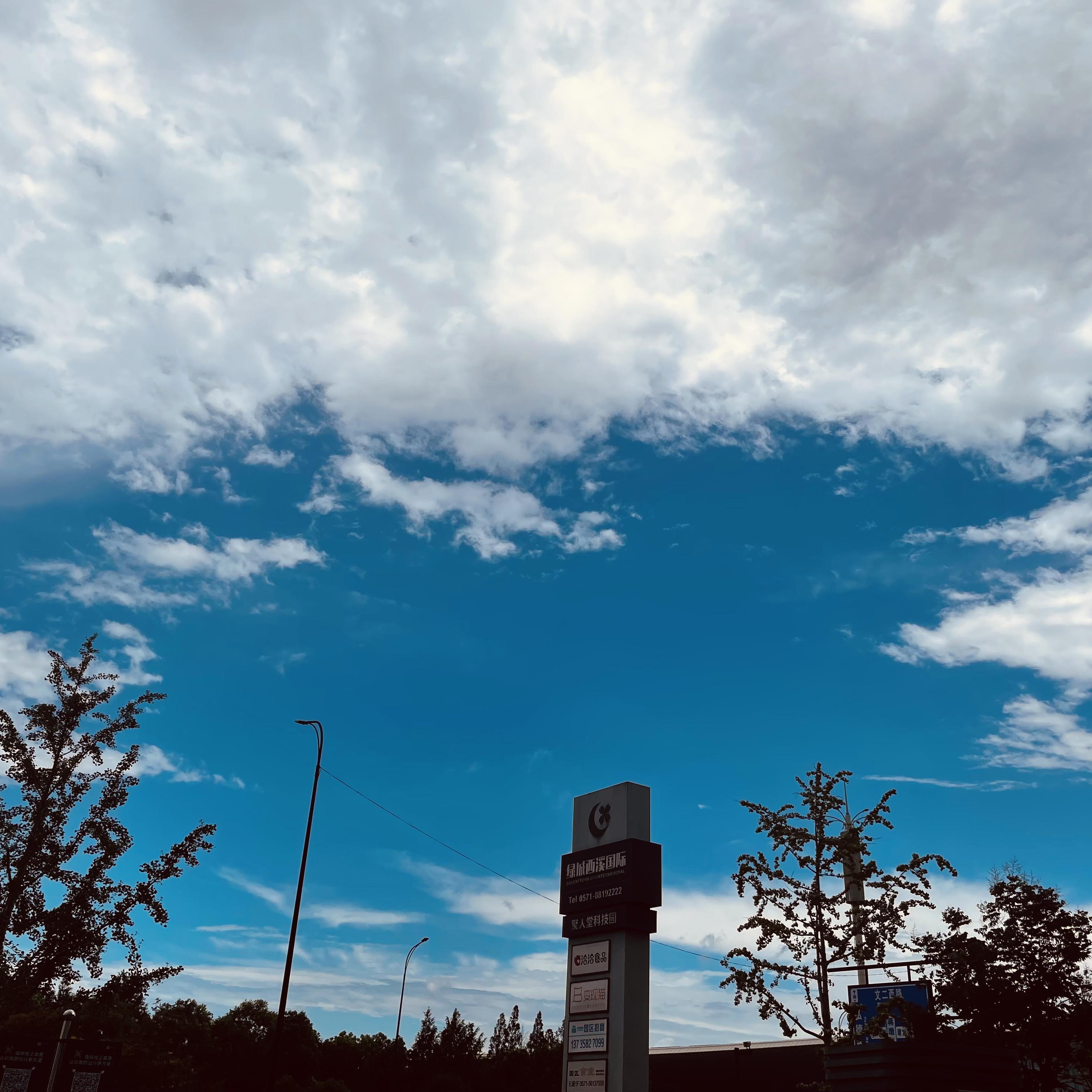 红尘来去一场梦封面