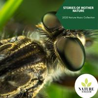 Stories of Mother Nature - 2020 Nature Music Collection