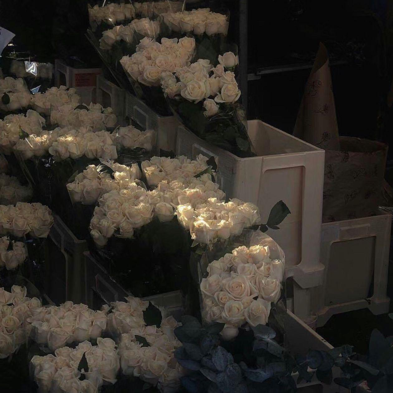 我用什么把你留住