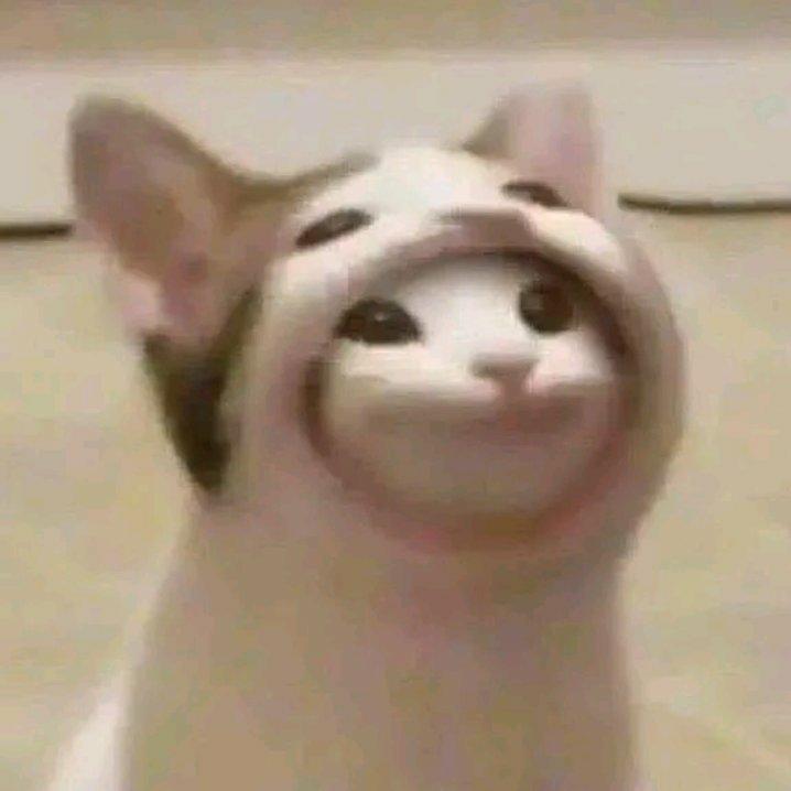 厕所没纸了借我点