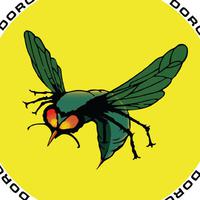 Dorothys Fortress资料,Dorothys Fortress最新歌曲,Dorothys FortressMV视频,Dorothys Fortress音乐专辑,Dorothys Fortress好听的歌
