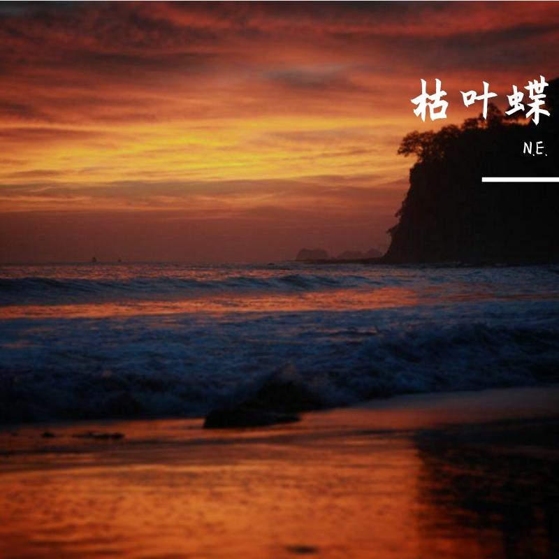 枯叶蝶_N.E._枯叶蝶 | 在线播放_枯叶蝶歌词_枯叶蝶下载 | 网易云音乐
