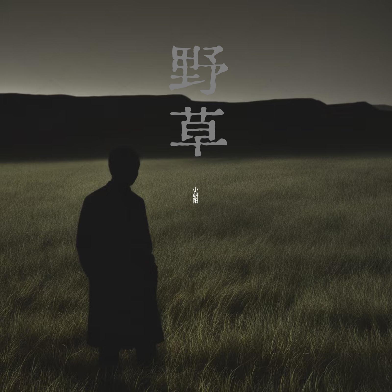 野草封面