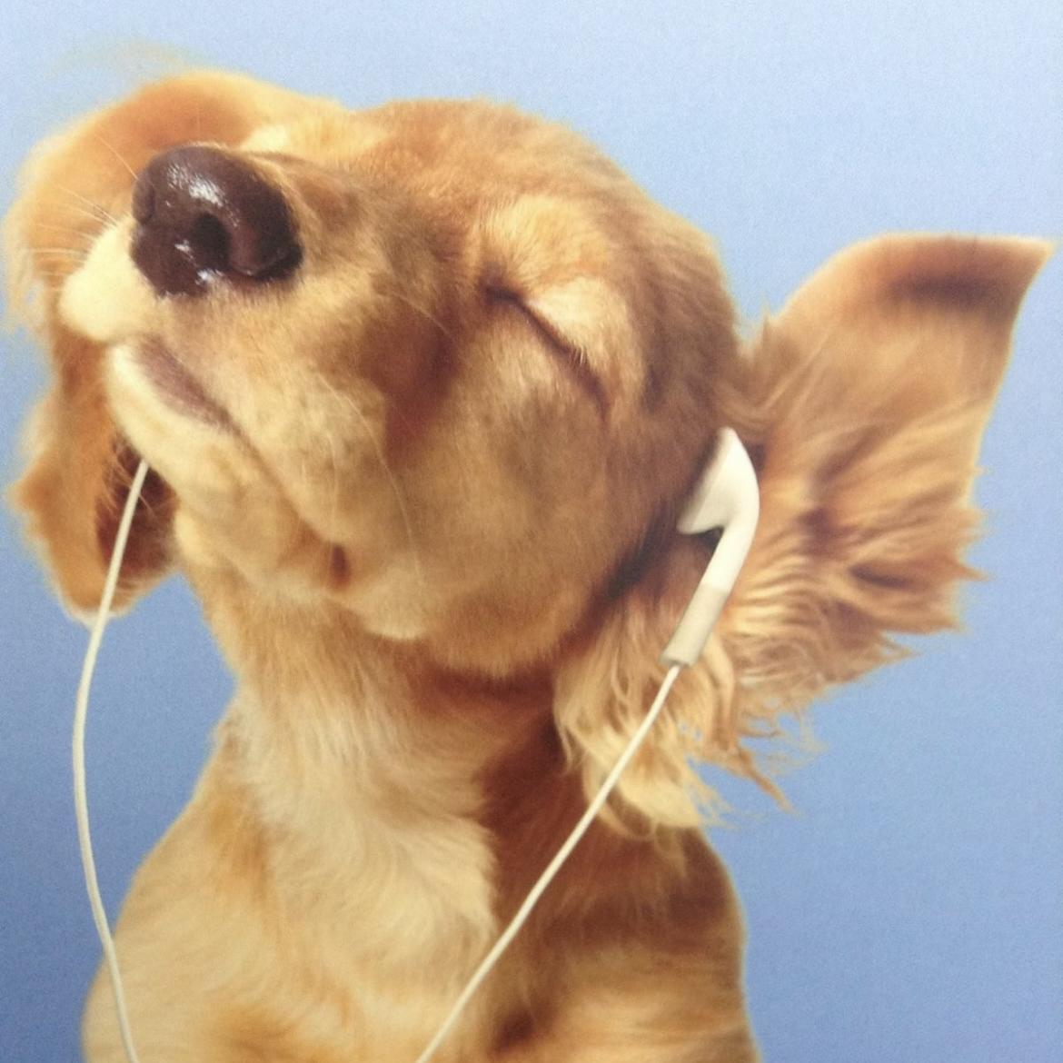 松弛感仙品jazz hiphop/R&B！